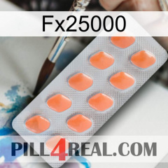 Fx25000 26